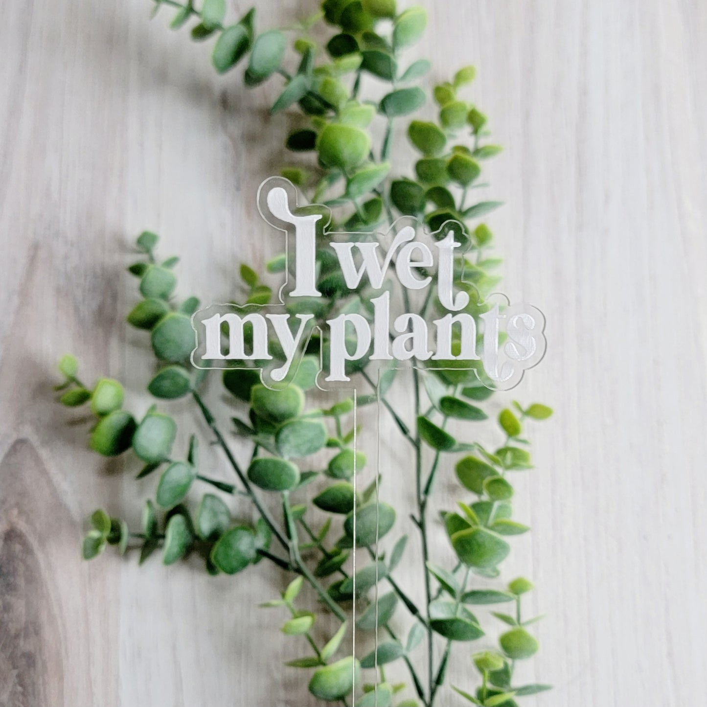Funny Saying Plant Stake