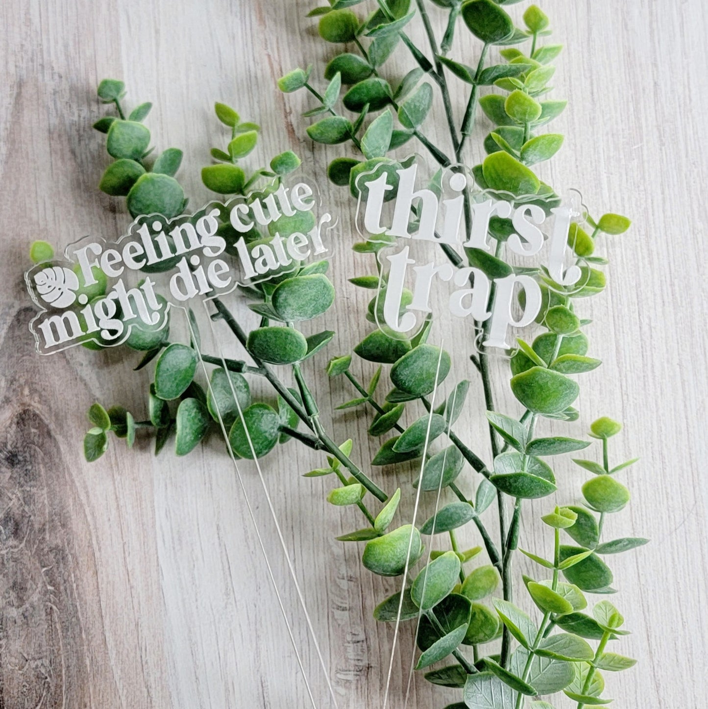 Funny Saying Plant Stake