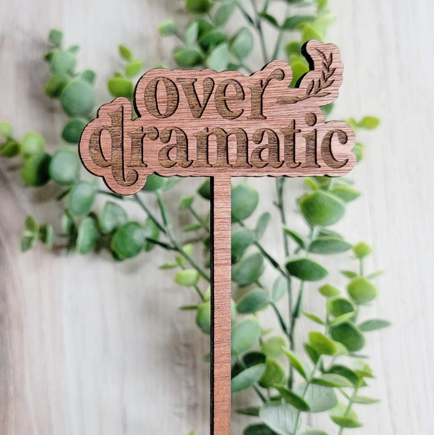 Funny Saying Plant Stake