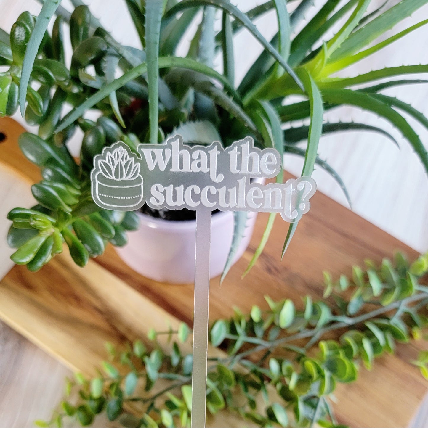 Funny Saying Plant Stake